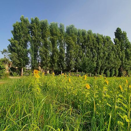 Fattoria Il Giardo Daire Pietrasanta Dış mekan fotoğraf