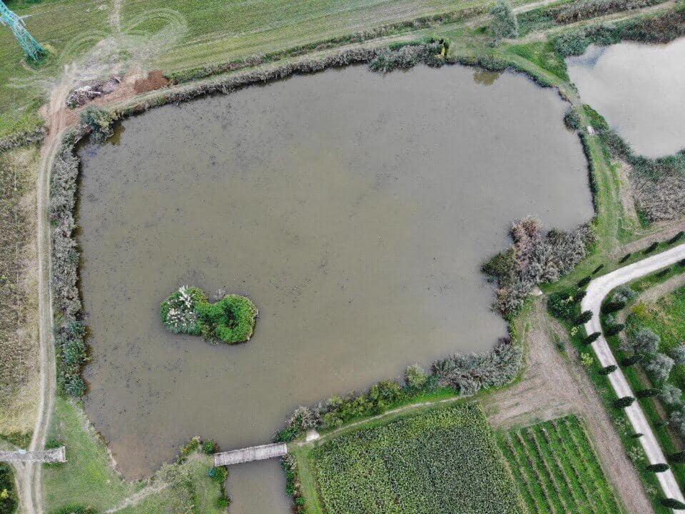 Fattoria Il Giardo Daire Pietrasanta Dış mekan fotoğraf