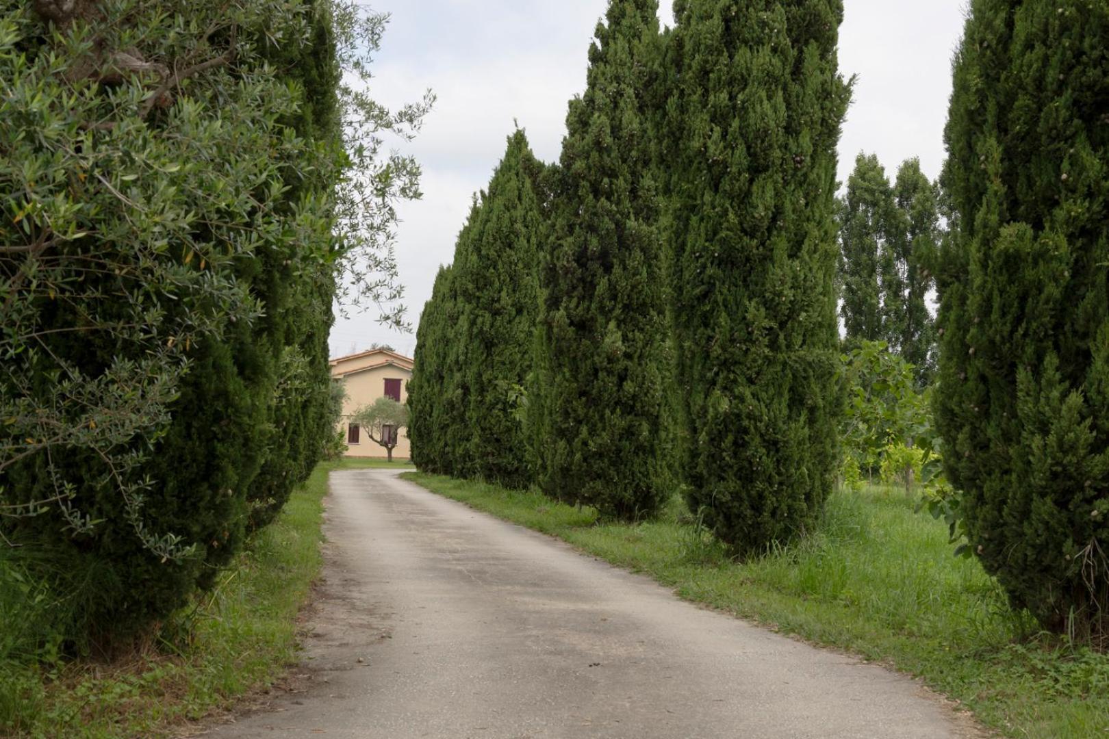 Fattoria Il Giardo Daire Pietrasanta Dış mekan fotoğraf