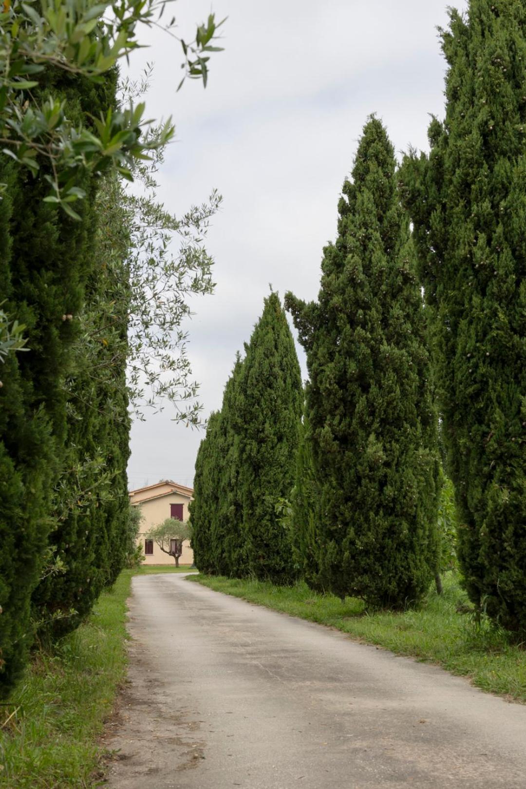 Fattoria Il Giardo Daire Pietrasanta Dış mekan fotoğraf